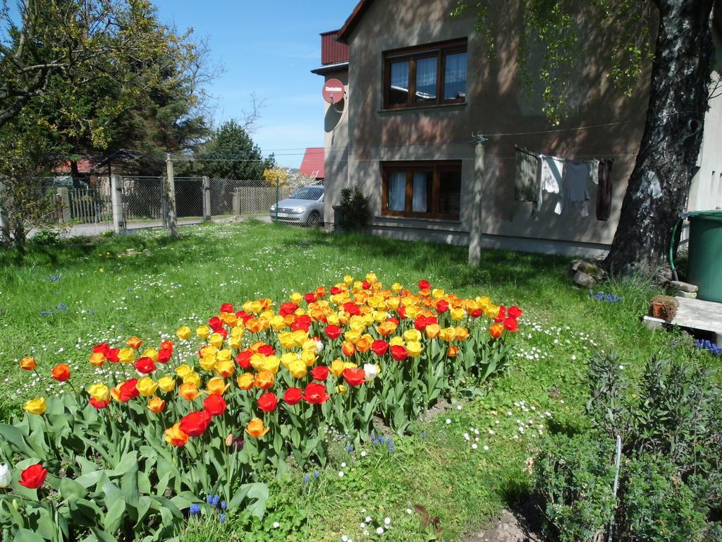Ferienwohnung Wawrok Pirna Bagian luar foto