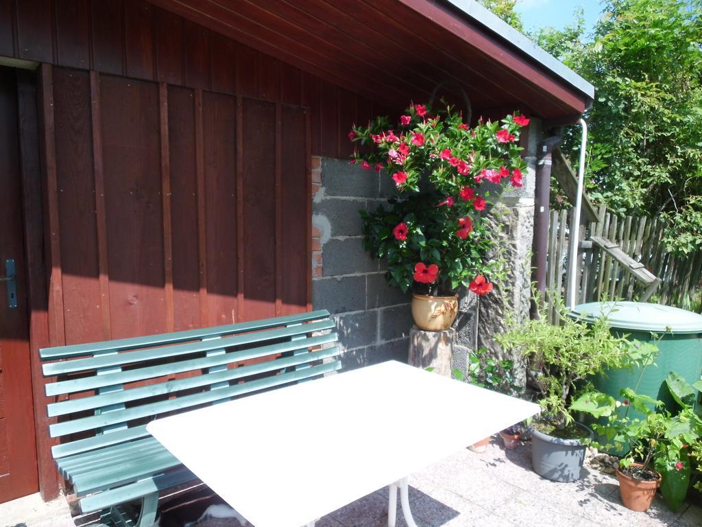 Ferienwohnung Wawrok Pirna Bagian luar foto