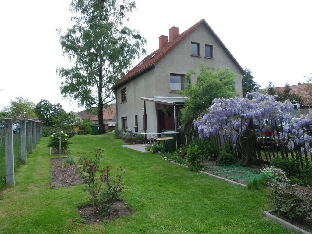 Ferienwohnung Wawrok Pirna Bagian luar foto