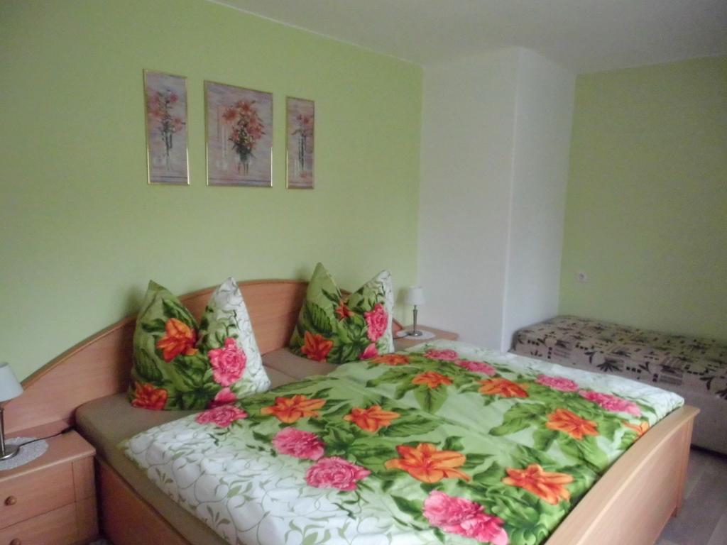Ferienwohnung Wawrok Pirna Bagian luar foto
