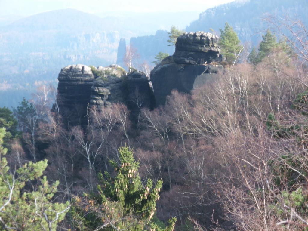Ferienwohnung Wawrok Pirna Bagian luar foto